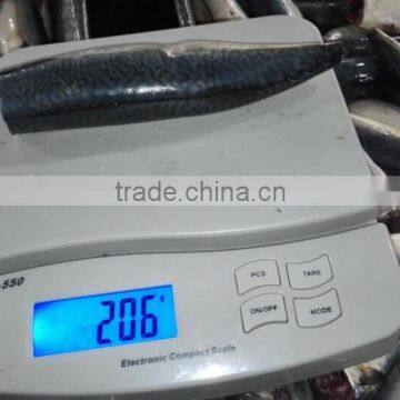 HGT Pacific Mackerel Scomber Japonicus Headless Gutted Tailess photo-5