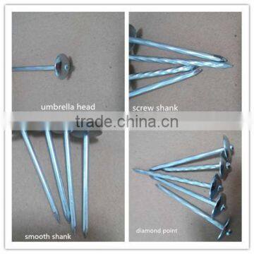 BWG9 Galvanized Umbrella Head Twisted Roofing Nail photo-2