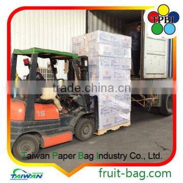 Taiwan Factory Customized Grape Bag Fruit Paper Bag photo-6