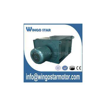 High Voltage Motors