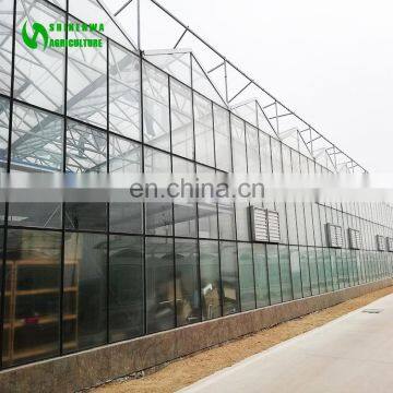2017 Commercial High Quality Large Scale Glass Green House