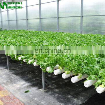 Agricultural Greenhouse Hydroponic Channels Set Hydroponic Growing Systems photo-2