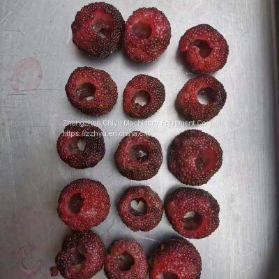 High Efficiency Automatic Fruit Pitting Machine Cherry Pitter Olive Pitter Machine for Fruit Processing Plants photo-5