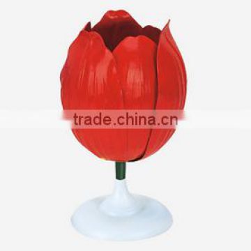 Tulip fower model