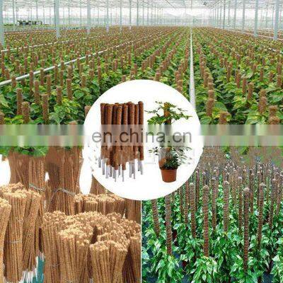 Brand New Wood Decorative Stakes Stand Garden Climber Moss Coco Coir Plant Support Sticks photo-4