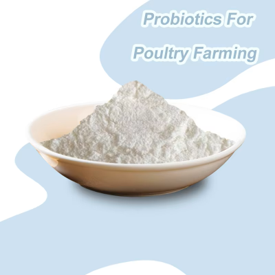 Reliable Quality Functional Feed Grade Probiotics For Poultry Farming Chicken Duck Goose Customized Probiotics Made In China