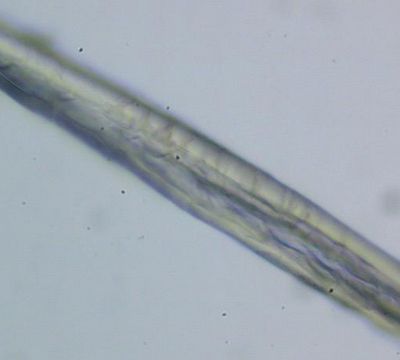 Simple Polarizing Microscope MP20 photo-3