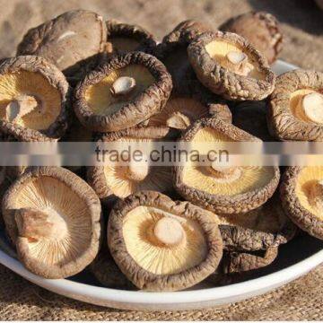 dried shiitake mushromm with market price