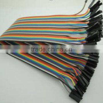 30CM Rainbow Cable 40P Female to Female