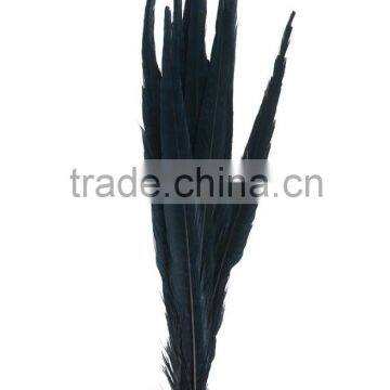 Carnival decoration pheasant tail feather, colour ostrich feather wholesale