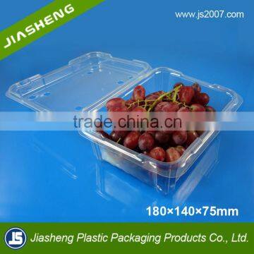 Disposable Plastic Clear Fruit Food Tray Packaging