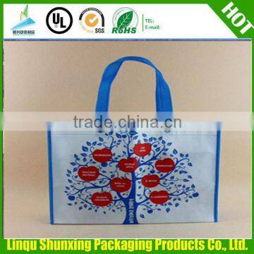 gift bag/non woven shopping bag/ printing bag