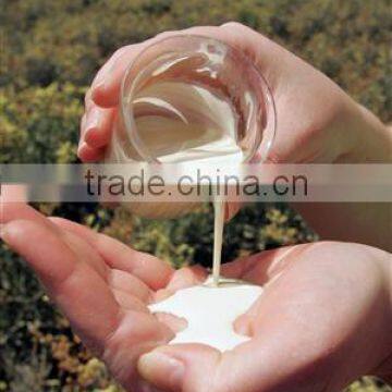Latex polymer for interior paints