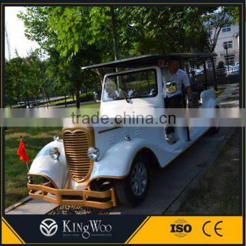 8 Seats electric recreational vehicle for sale