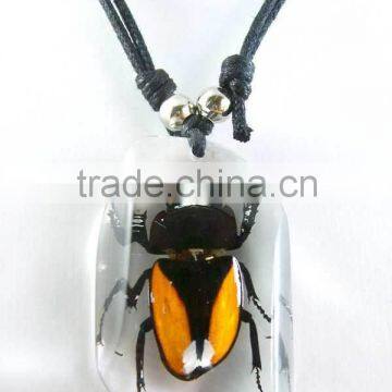 Real Baltic Insect Amber Bead Necklace Design photo-4