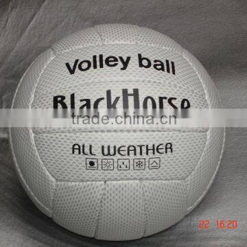 Indian Supplier Volleyballs----JPS