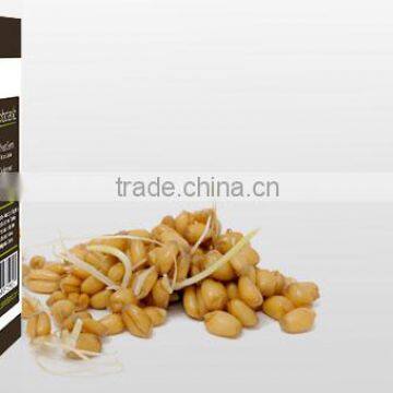 Wheat Germ Oil photo-2