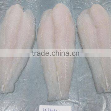 Frozen Pangasius Fillet