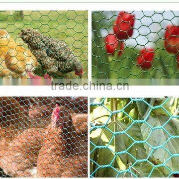 chicken wire mesh (15 years factory)