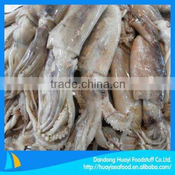 frozen squid whole round cleaned