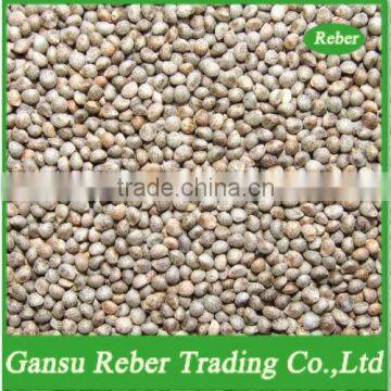 Grey Perilla Seeds