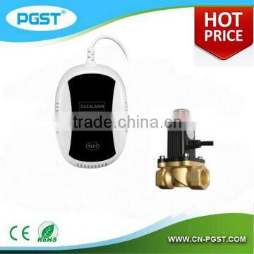 Professional Independent gas leak detector /Alarm system with Semiconductor sensor