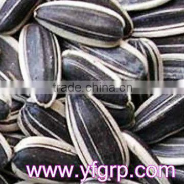 order Yummy Food supply cheap large confection bulk chinese sunflower seeds