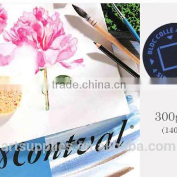 Professional Watercolor Paper 300g for painting 12 sheets