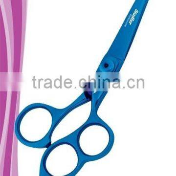 Hair Styling Shears