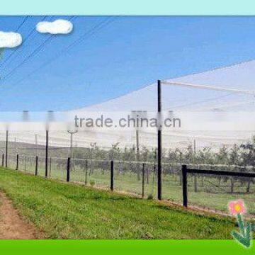 plastic mesh bird netting