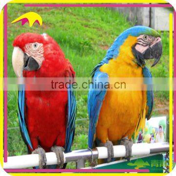 KANO5225 Wildlife Show Animated Artificial Life Size Parrot