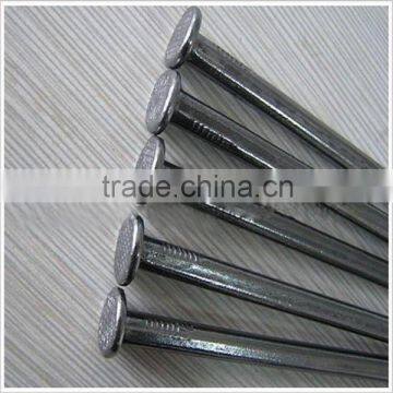 New product/nails/common nails/Wire nails in Guangzhou
