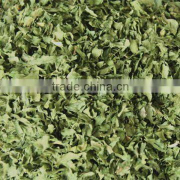 2016 New Crop Dehydrated Parsley Leaf