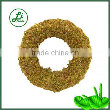 24" Round Coco Living Wreath