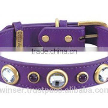 dog collars