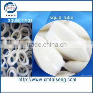 Todarodes Pacificus Squid Tube/Ring