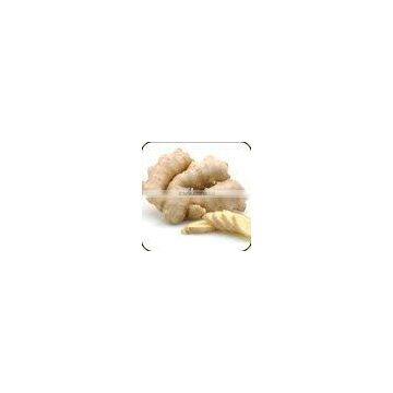 Fresh Ginger
