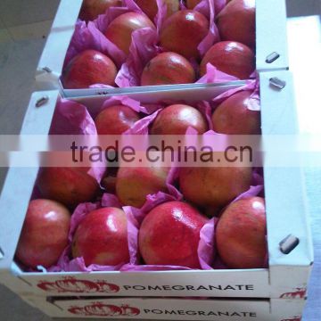 Fresh Pomegarantes, Hot sale