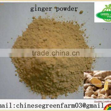 chinese greenfarm dried ginger powder with high quality