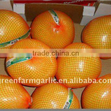 2014 Chinese New Sweet Honey Pomelo