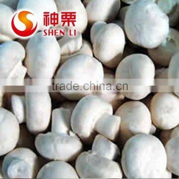 Frozen Agaricus bisporus IQF Agaricus bisporus