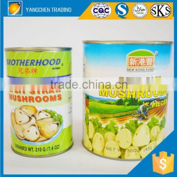 425g Special mushroom straw mushroom