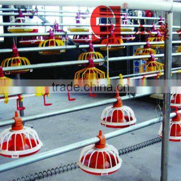 Poultry Automatic Feeding and Drinking System