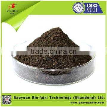 Bacterial Organic Soil Enhancer