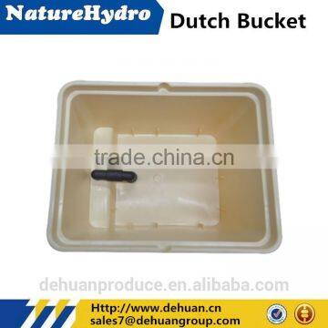 Popular Dutch Bucket Hydroponic Growing Systems Greenhouse