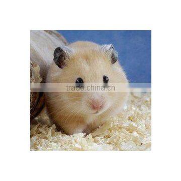 High Efficiency Wood Shaving Pellet Making Machine for Animal Bedding photo-4