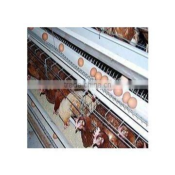 New Design Best Sale Egg Chicken Layer Cage Design