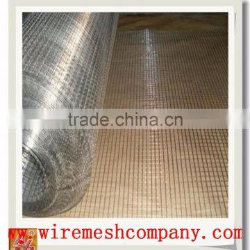 Factory Cheap Stainless Steel Welded Wire Mesh / PVC Welded Wire Mesh /304 Welded Wire Mesh