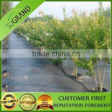 PP woven Fabric Agriculture Ground Cover