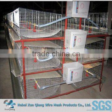 120 layers chicken cage for sale in nigeria